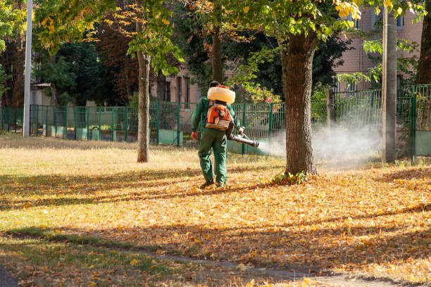 Best Best Pest Control Companies  in Youngstown, OH